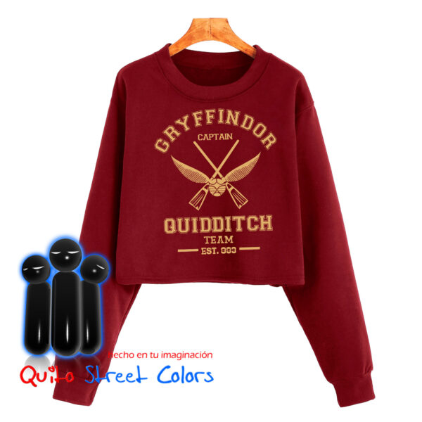 Croptop Harry Potter Gryffindor